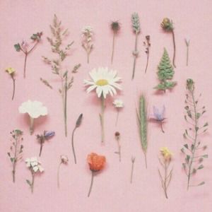 Meet your Posher, Maddy